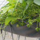 김동진농장 이미지