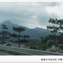 월출산국립공원 천황사야영장 이미지