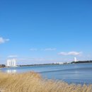 강릉원예농협하나로마트 초당점 이미지