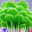 스마일해피 이미지