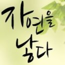 그레이스여성병원 네이버블로그