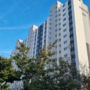 파인빌 | 군산 미장동 파인빌 2차 아파트 매매 후기 (급매 대출 조건 맟춤)