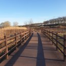 녹색환경개발 이미지