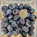 블루베리 100g * 10팩 ... 32,000원 무료배송 이미지