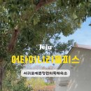 어타이니리틀피스