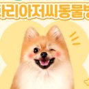 키다리아저씨 동물병원 이미지