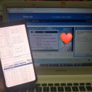 도전 스페인어와 친해지기 | [스페인어배우기] 해커스인강으로 스페인어독학_박숙희 선생님 수강후기