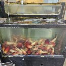 김진 주유소 이미지