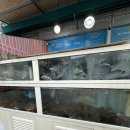 외포등대횟집 이미지