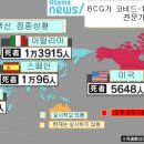 BCG 접종이 코비드-19에 효과가 있는가? 이미지