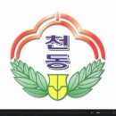 대전천동초교 이미지