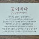 피다 케이크 이미지