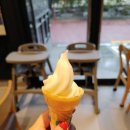 참누렁소 이미지