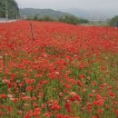 신풍면 행정복지센터 이미지