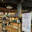 스타벅스 국제시장점 | 부산 자갈치역 스타벅스 국제시장점 3월 봄 신메뉴