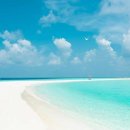 신비무역 이미지