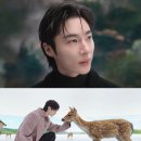 아더에러 신사 스페이스 광고 모음집 이미지