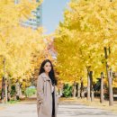 거리로R 이미지