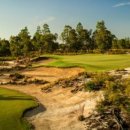 (주)도그아일랜드 이미지