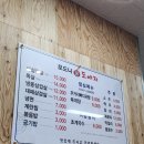 모드니불도야지