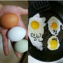 로이광택세차 | 로이의 계란 후기!