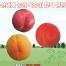 신세계농원 이미지