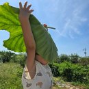 해와달유치원 이미지