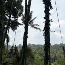 민데이짐 | 발리 우붓 라스트데이 체크아웃투어 추천 / 마이리얼트립 단독투어 내돈내산 추천