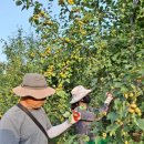 김미숙농장 이미지