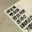 참치만세