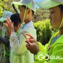 금천초교 병설유치원 이미지