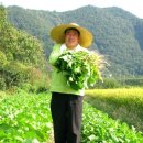 희망농장 이미지