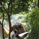 의풍분교온달캠핑장 이미지