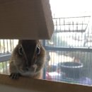 와작와작 이미지