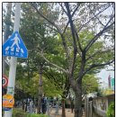 당감2동 마을문고 이미지