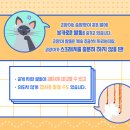 훈동물병원 이미지