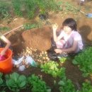 평강농장 이미지