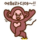 Y모터스(와이모터스) 이미지
