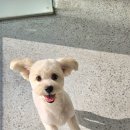 포즈티브 이미지