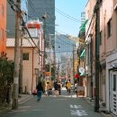 최강할인마트 봉동점 | 트립닷컴 할인코드 4월 프로모션 쿠폰 일본 가성비 숙소 예약 방법