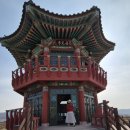 의성조문국박물관 | 의성 금성면 조문국 고분전시관과 박물관 둘러보다.