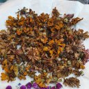 꽃차&약선차 이미지