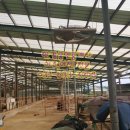 튼튼목장 이미지