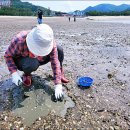 궁항경로당 | 변산 반도 가볼만한곳 숙소 루프탑 수영장 부안 바다 변산 갯벌체험 조개잡이 바지락 체험
