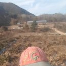 박용수농장 이미지