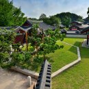 향나무로 이미지