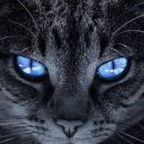 미사숲동물의료센터 이미지