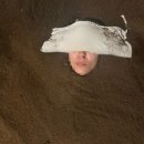 (주)금화 | 진주 효소찜질 금화효소원