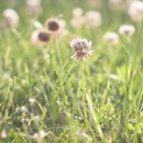 삼성전자서비스센터 사거리보건소 방향 | 상주 삼성전자 서비스센터 위치찾기 예약 영업시간