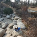 개폼난다 이미지